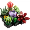 LEGO Creator Expert 10309 Succulent Plant Set Photo 2