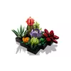 LEGO Creator Expert 10309 Succulent Plant Set Photo 3