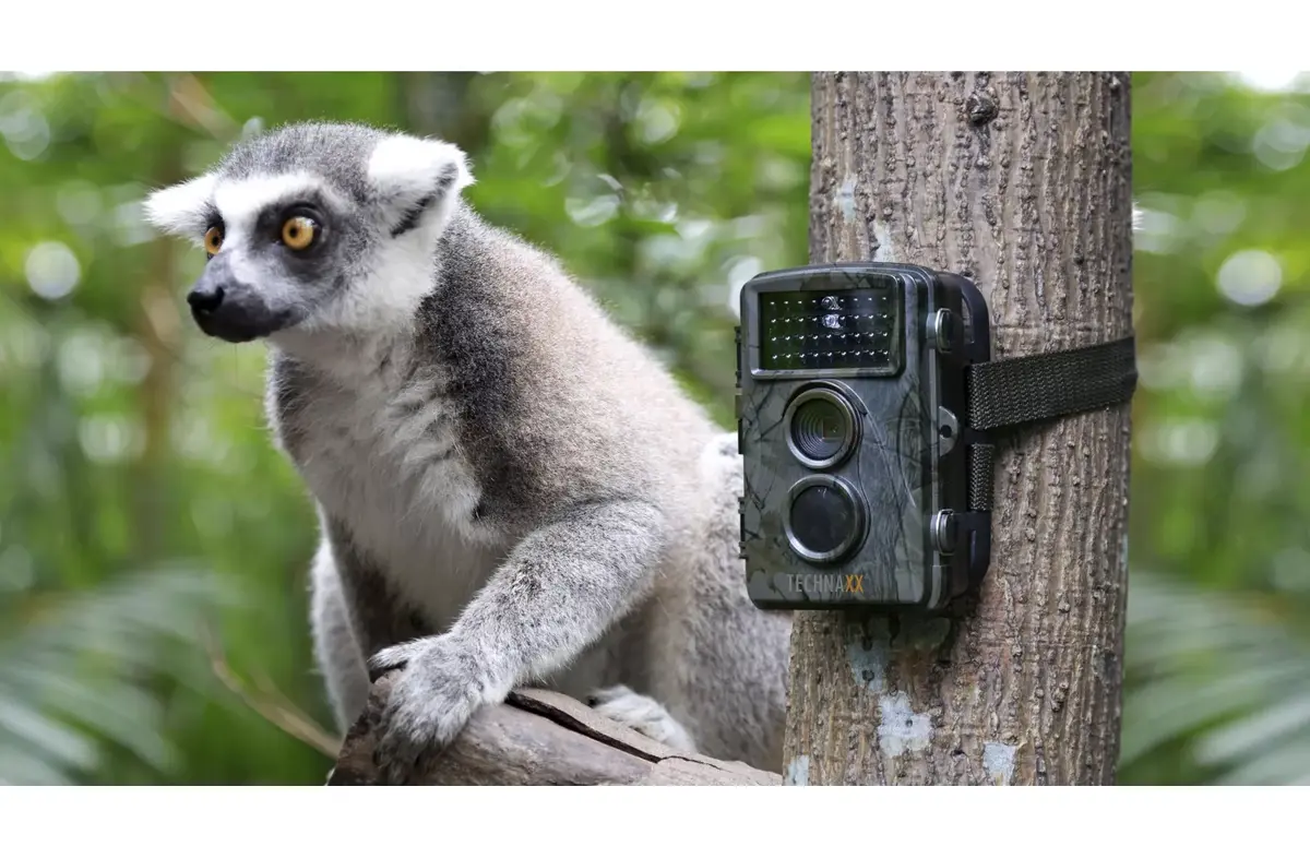 Камера видеонаблюдения Technaxx Nature Wild Cam TX-69 Photo 6