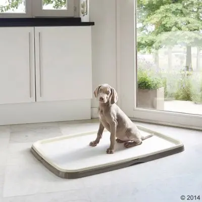 Savic Puppy Trainer Starter Kit Large Dog Toilet Tray Photo 2