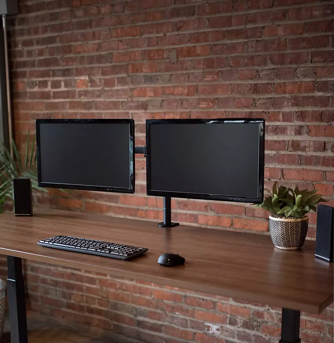 MONTIS Dual Monitor Mount Everest MT015 — dual monitor mount Photo 4