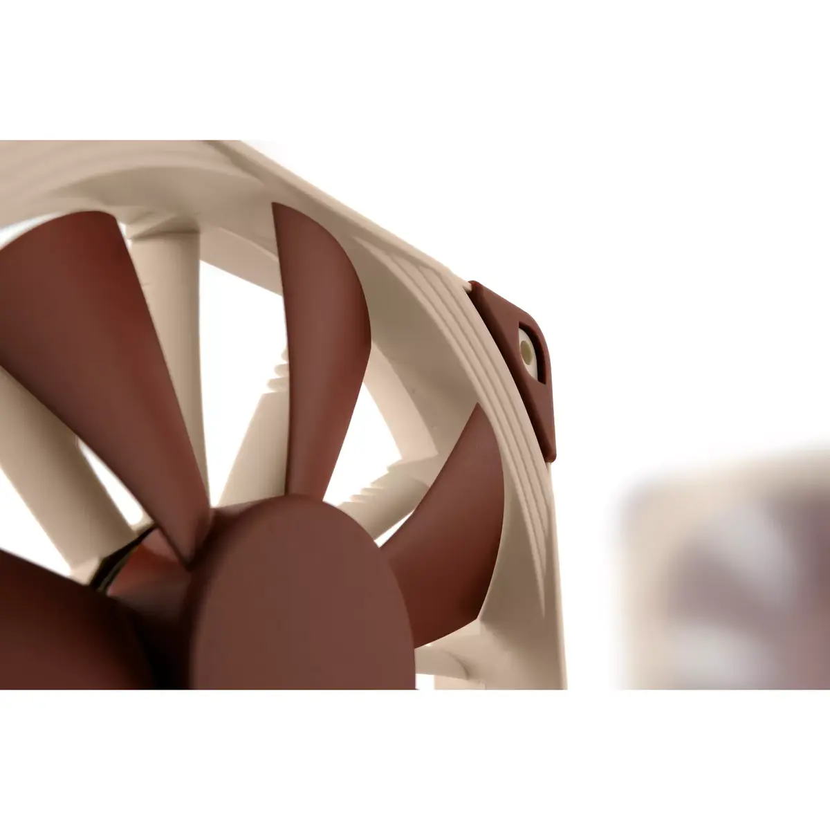 Noctua NF-F12 120 mm korpusa ventilators Photo 5