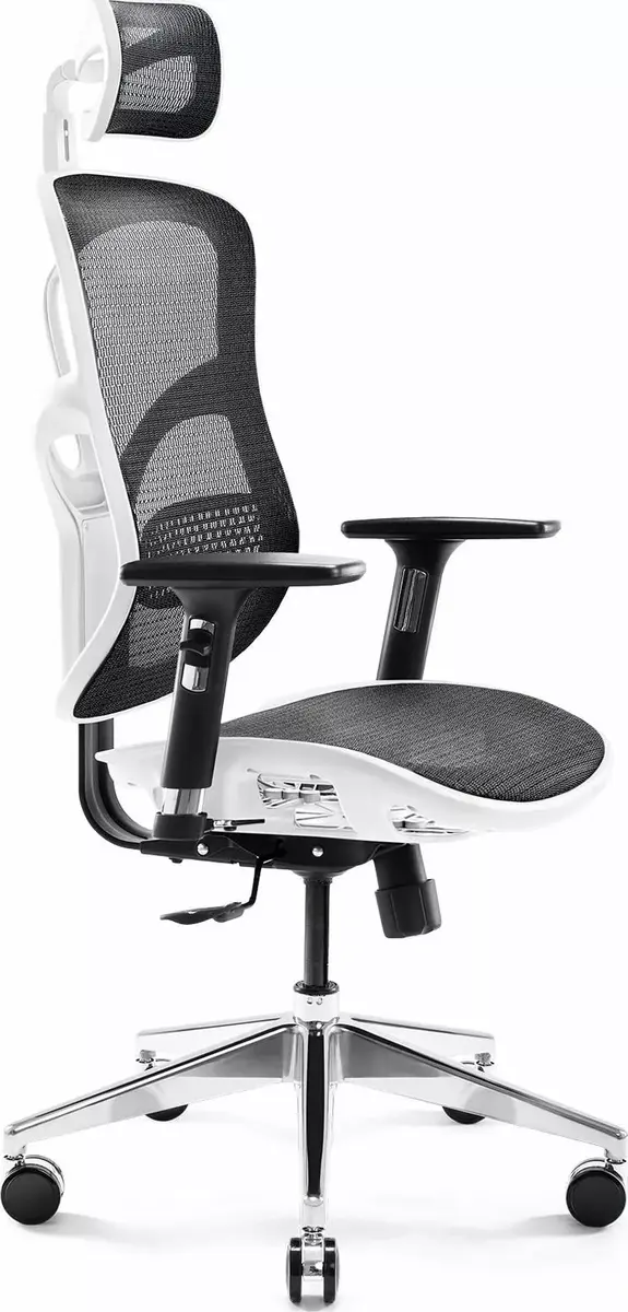 Office chair Diablo V-Basic — ergonomic, adjustable height Photo 1