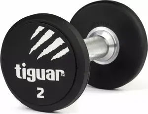 Гантель Tiguar TI-WHPU0020 с резиновым покрытием 1 x 2 кг