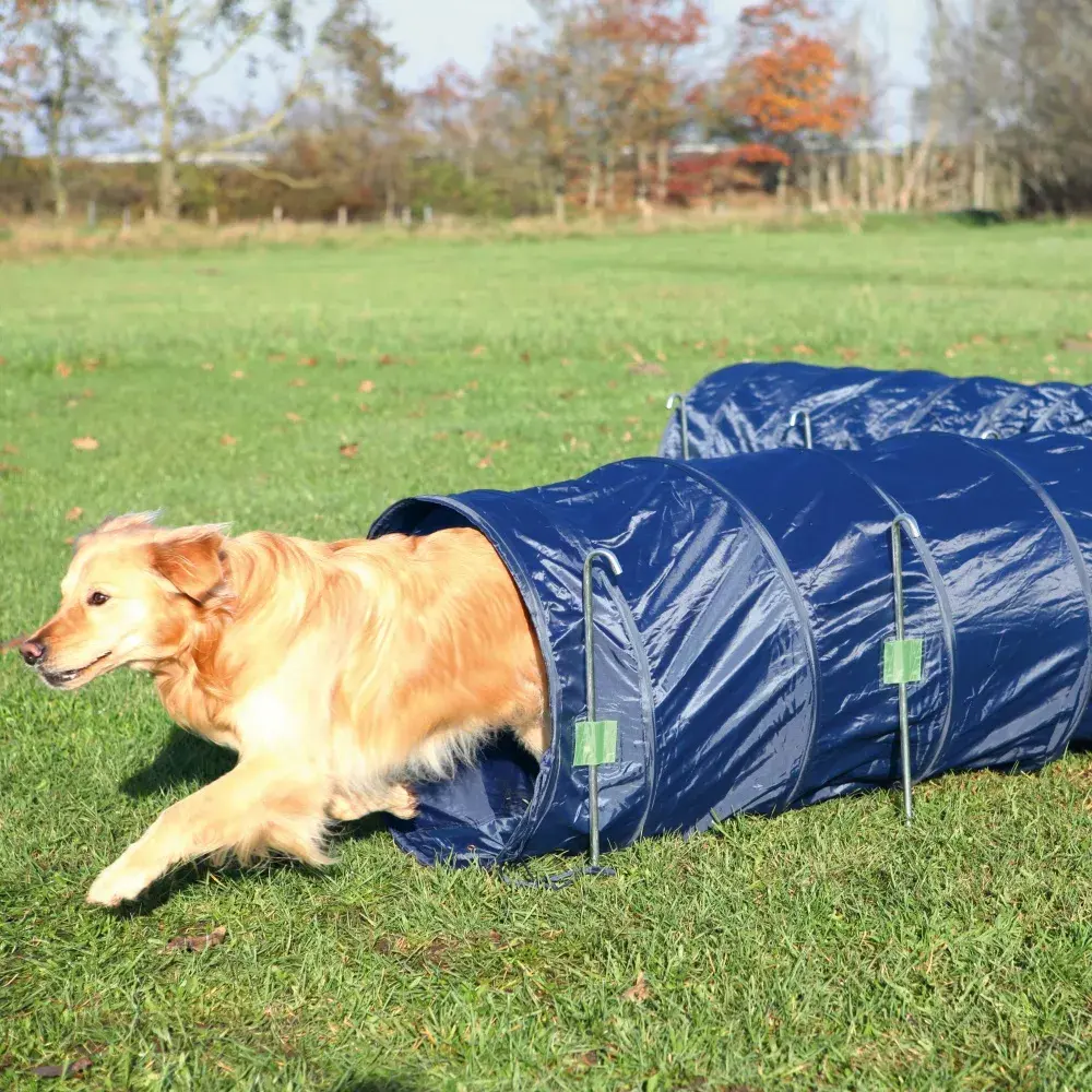 Agility tunelis TRIXIE 3211 Photo 2