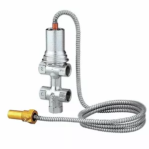 Safety Relief Valve with Thermal Discharge and Automatic Refill CALEFFI 544400