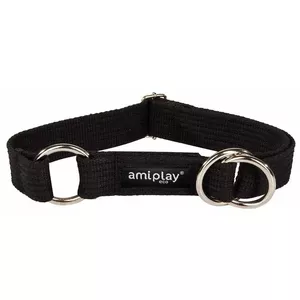 ami play Dog Collar