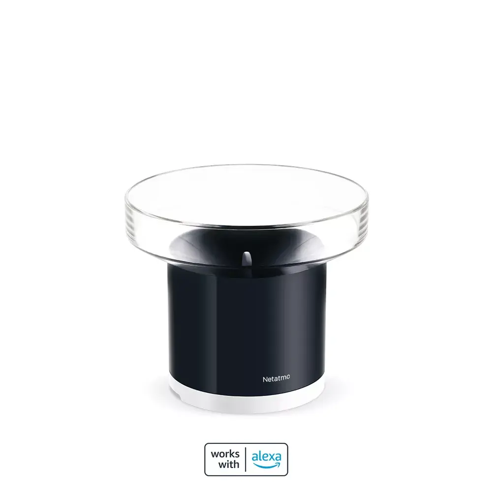 Умный дождемер Netatmo NRG01-WW Photo 2