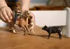 Schleich FARM WORLD Приключения на Западе 42578 Photo 3