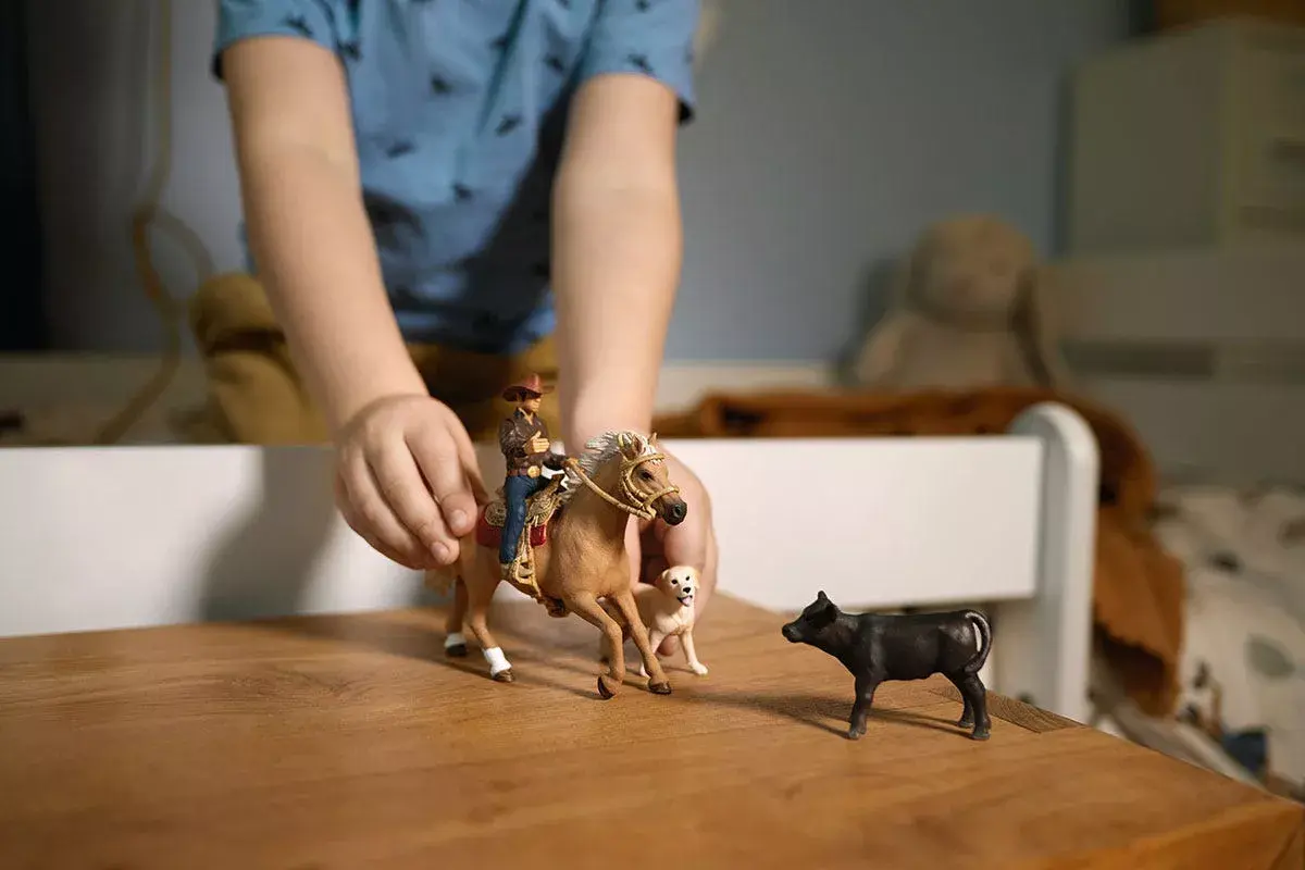Schleich FARM WORLD Приключения на Западе 42578 Photo 4