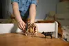 Schleich FARM WORLD Приключения на Западе 42578 Photo 4