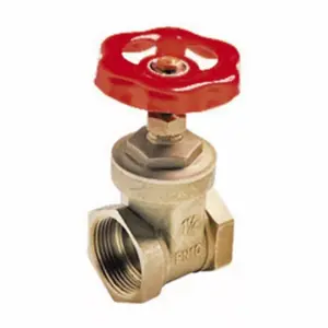 MT 4113-025 Standard Flow Gate Valve, Female-Female