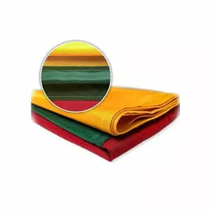 AKA Baltic Lithuanian National Flag 50x85 cm