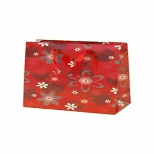 Gift bag Canpol TR-20 — dimensions 17.8 × 9.8 × 22.9 cm