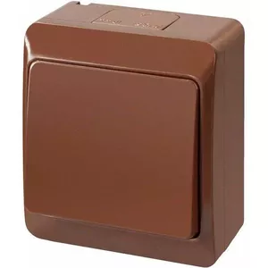 Divvirzienu slēdzis ELEKTROPLAST 0331-06 brūns IP44