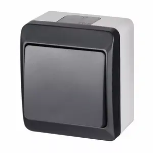 Переключатель двухклавишный ELEKTROPLAST 0331-07 IP44