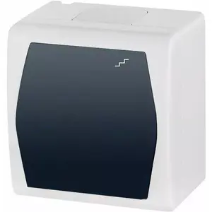 Wall switch ELEKTROPLAST HERMES 2 model 1003-01 white/grey — single-gang electrical switch