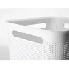 Rotho Brisen storage box 4.5 L anthracite Photo 5