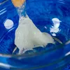 Liscianigiochi Crazy Science Slime in the dark komplekts Photo 4