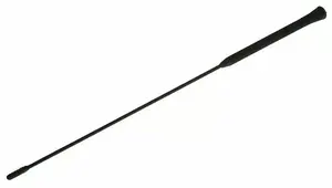 CAR ANTENNA