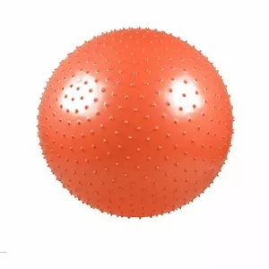 MASSAGE GYM BALL PVC LS3224 55CM