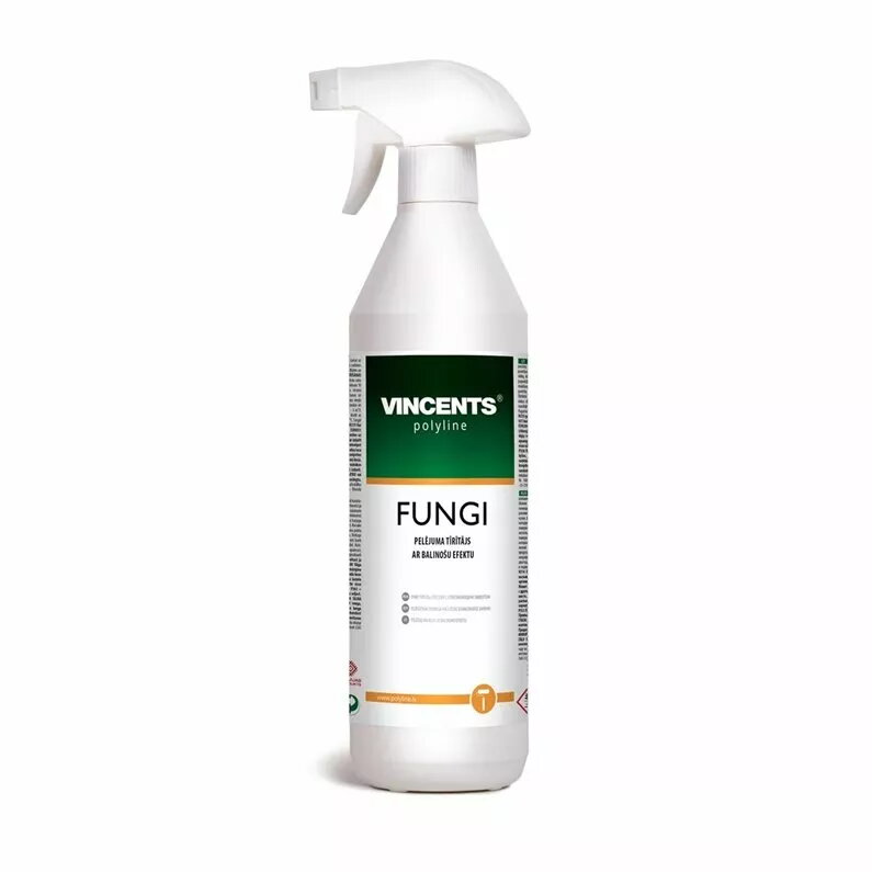 Cleaning Products