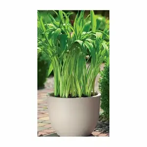 Flower pot FORM_PLASTIC MUNA ROUND 2731-051 — ceramic-look plastic planter, model 2731-051