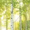 KOMAR Trenddeko KO8-519 бумажные фотообои Photo 2