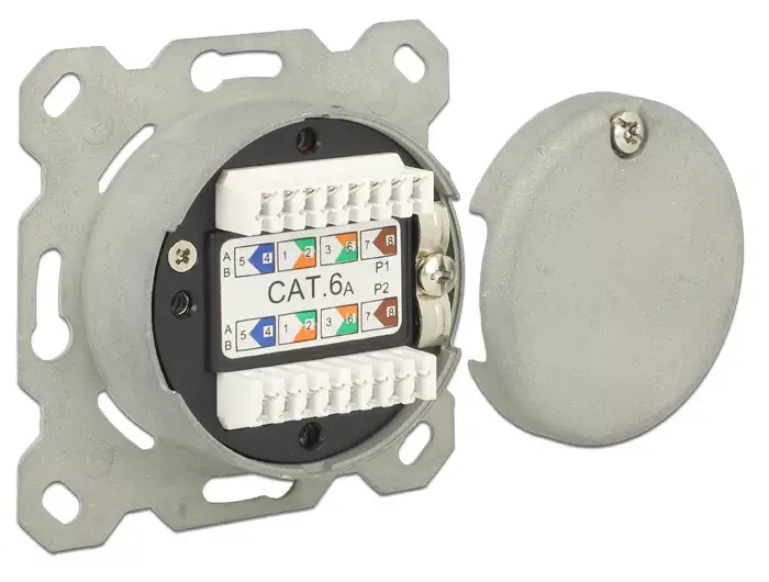 Розетка RJ-45 DeLOCK 86195 Photo 2