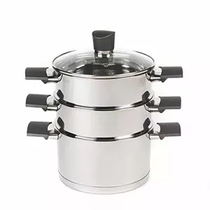 Russell Hobbs RH01170EU7 Excellence Steamer
