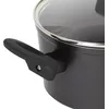 Stockpot Russell Hobbs RH01712EU 20 см Photo 5
