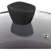 Stockpot Russell Hobbs RH01712EU 20 см Photo 6