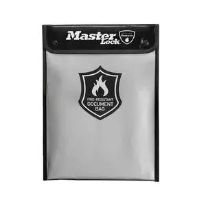 Folder MASTER LOCK FBWLZ0EURHRO Silicone Silver