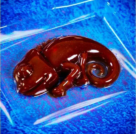 Liscianigiochi Science Kit Crazy Science Slime Chameleon Photo 9