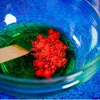 Liscianigiochi Science Kit Crazy Science Slime Chameleon Photo 13