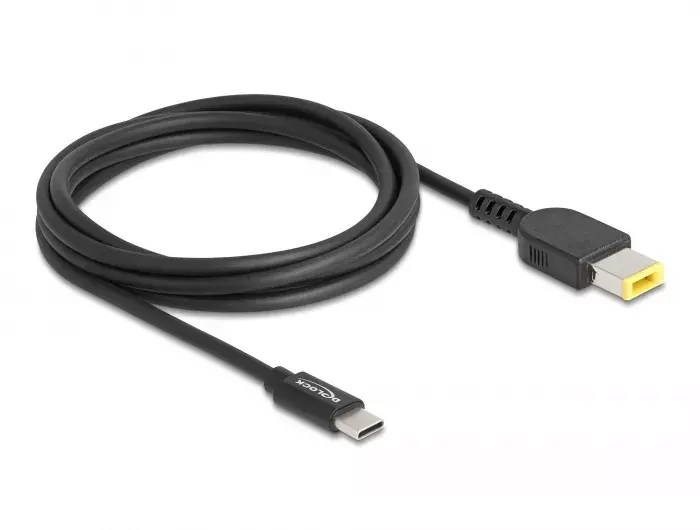 DeLOCK portatīvā datora uzlādes kabelis USB Type-C uz Lenovo 11.0 x 4.5 mm Photo 2
