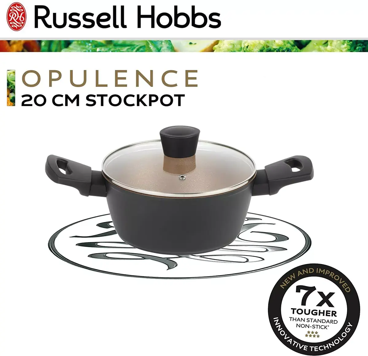 Stockpot Russell Hobbs RH01669BEU7 20 cm Photo 4