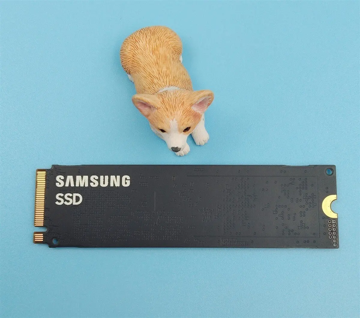 Cietvielu disks Dell 1 TB PM9A1