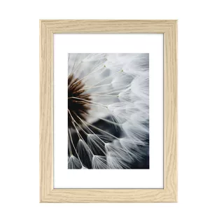 Single picture frame Hama Breeze Oak 225x325 mm