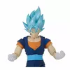 Bandai Dragon Stars Super Saiyan Blue Vegito (DS35868) Photo 5