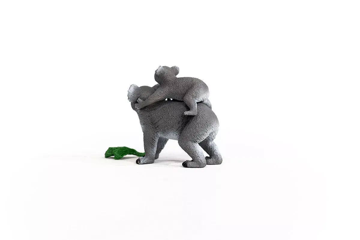 Schleich WILD LIFE Коала Мать и Ребенок 42566 Photo 9
