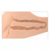 Pipedream Torso Masturbator Silicone Black Photo 7