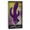 Вибратор CALEXOTICS LONG BEACH BOOTYLICIOUS Photo 2