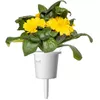 Click & Grow SGR88X3 Календула 3 шт. Photo 2