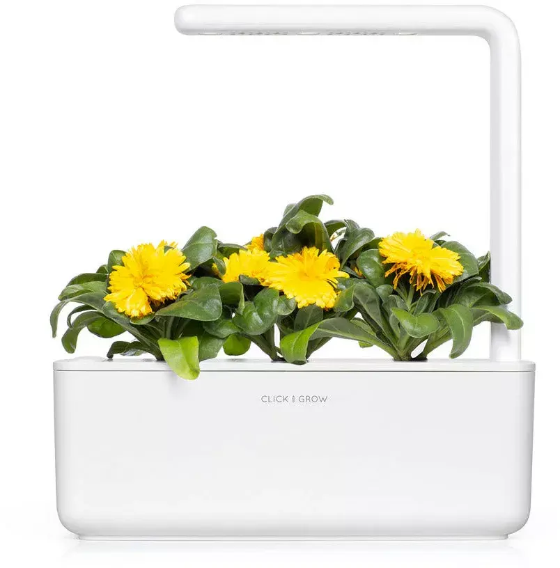 Click & Grow SGR88X3 Календула 3 шт. Photo 3