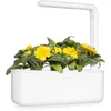 Click & Grow SGR88X3 Календула 3 шт. Photo 4