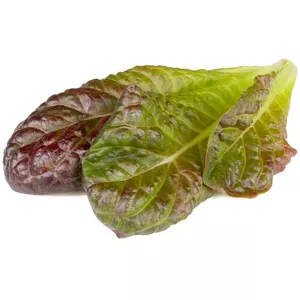 Click and Grow Smart Refill SGR94X3 — Red romaine lettuce refill, 3 pcs