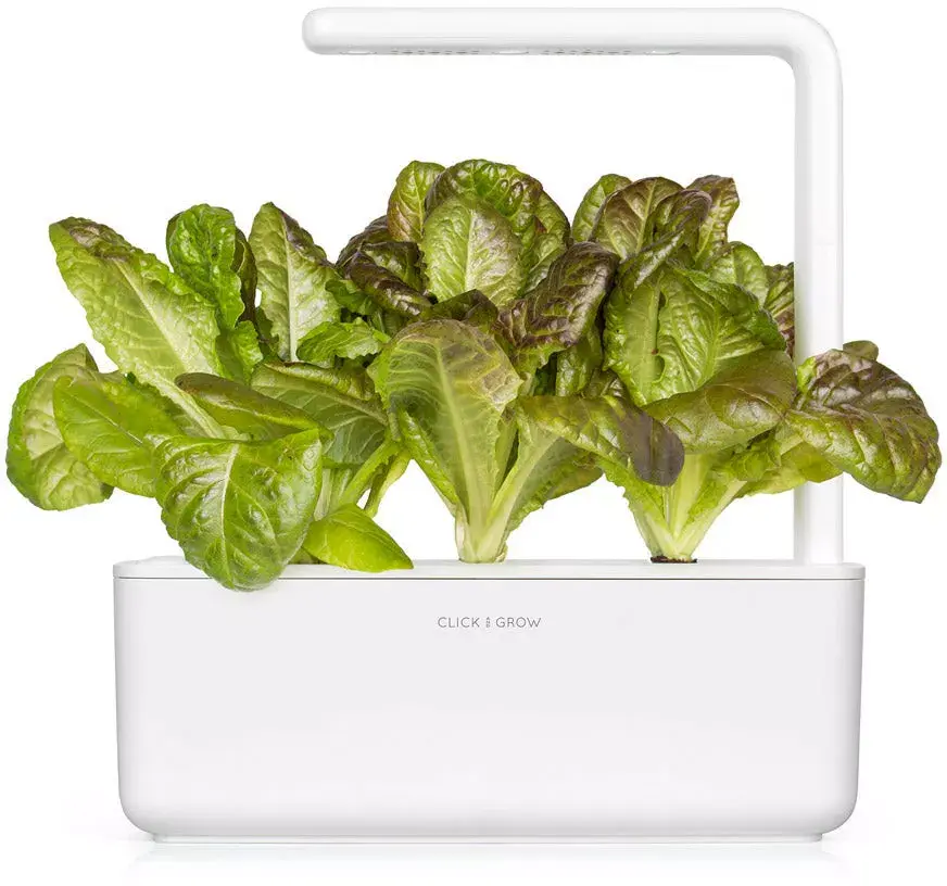 Click and Grow Smart Refill SGR94X3 — красный ромэйн, 3 шт. Photo 3