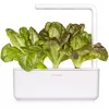 Click and Grow Smart Refill SGR94X3 — красный ромэйн, 3 шт. Photo 3