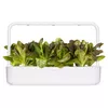 Click and Grow Smart Refill SGR94X3 — красный ромэйн, 3 шт. Photo 4